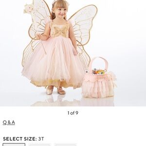 Pottery Barn Butterfly Fairy Costume